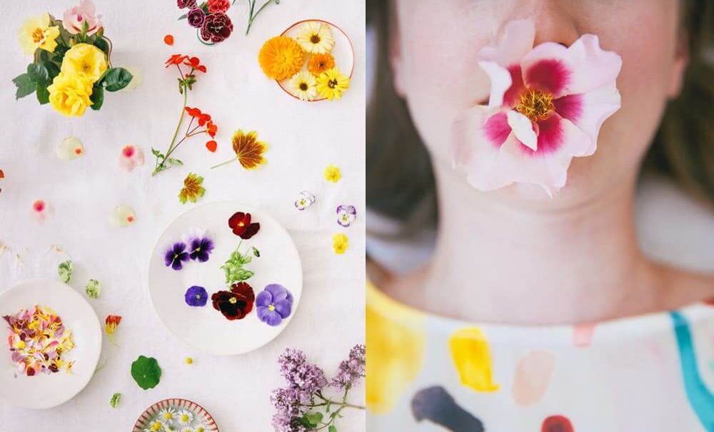 (왼) Edible Flowers / (오) Girl with a Flower